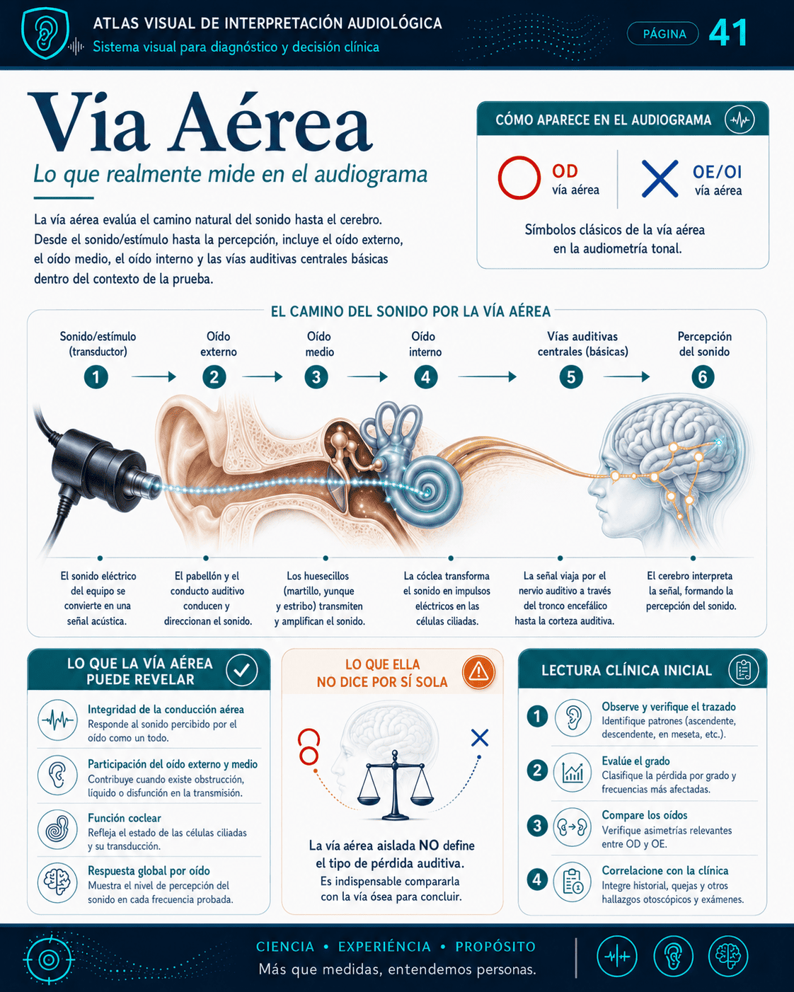 Muestra visual de interpretación audiológica