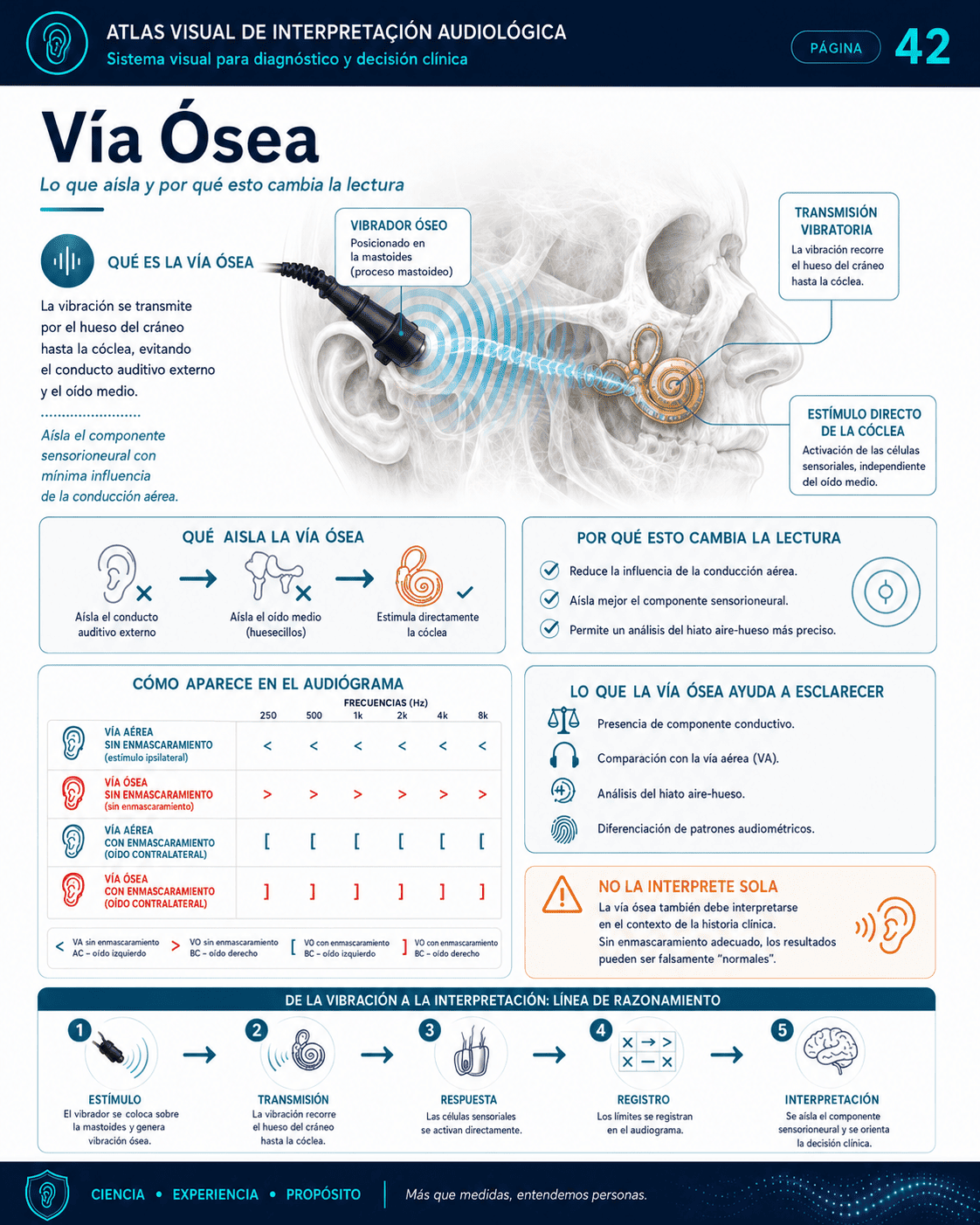 Muestra visual de interpretación audiológica