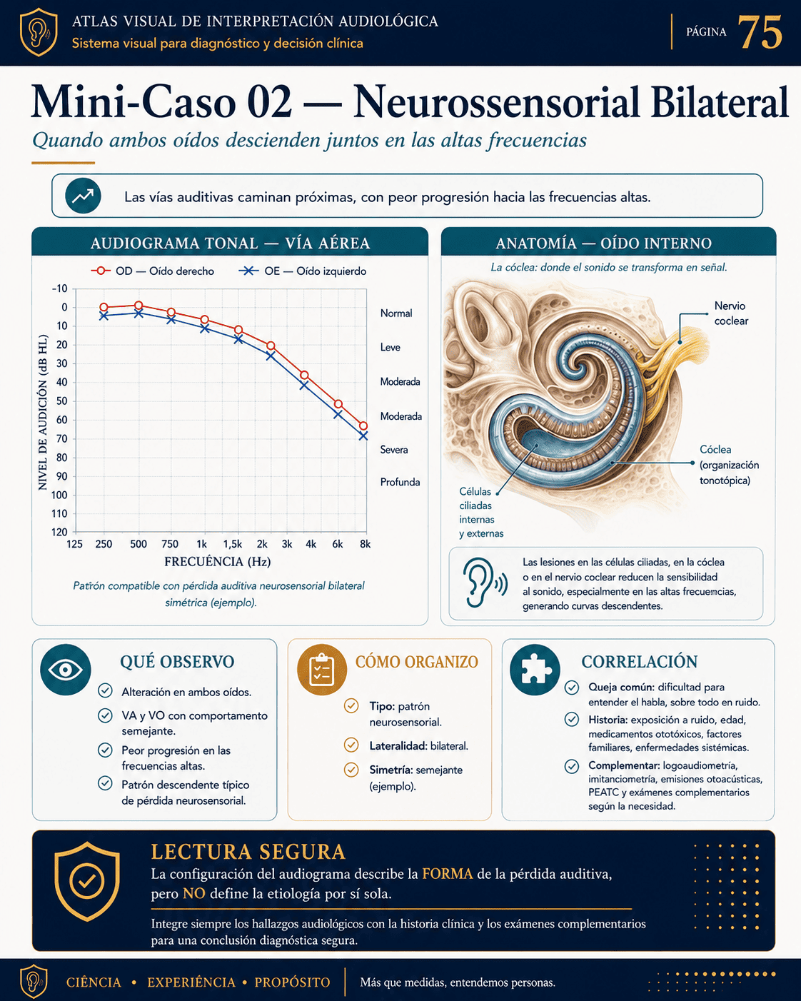 Muestra visual de interpretación audiológica
