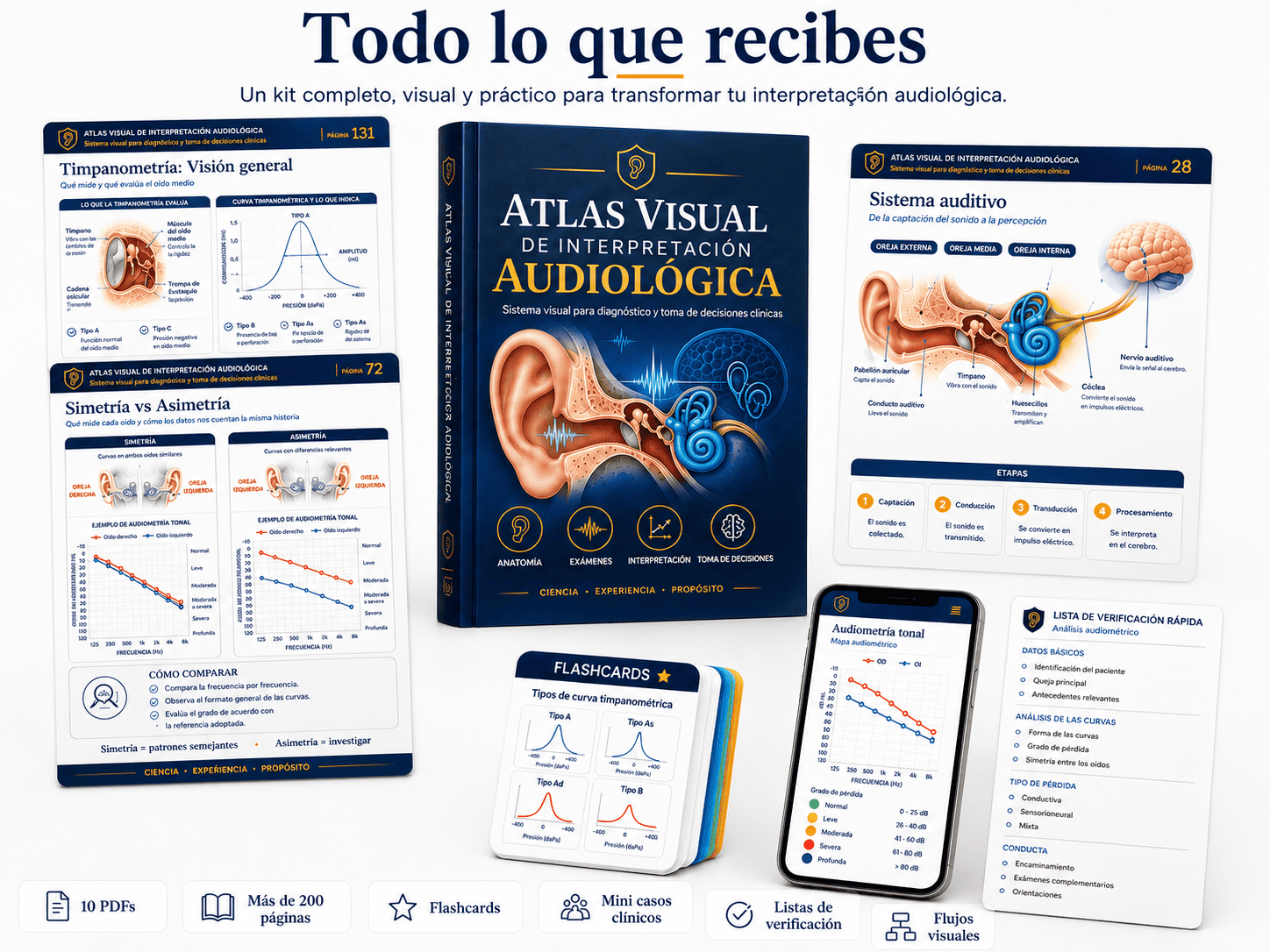 Composición completa del Sistema Visual de Interpretación Audiológica